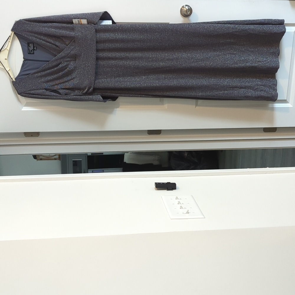 Silver Evening Gown
